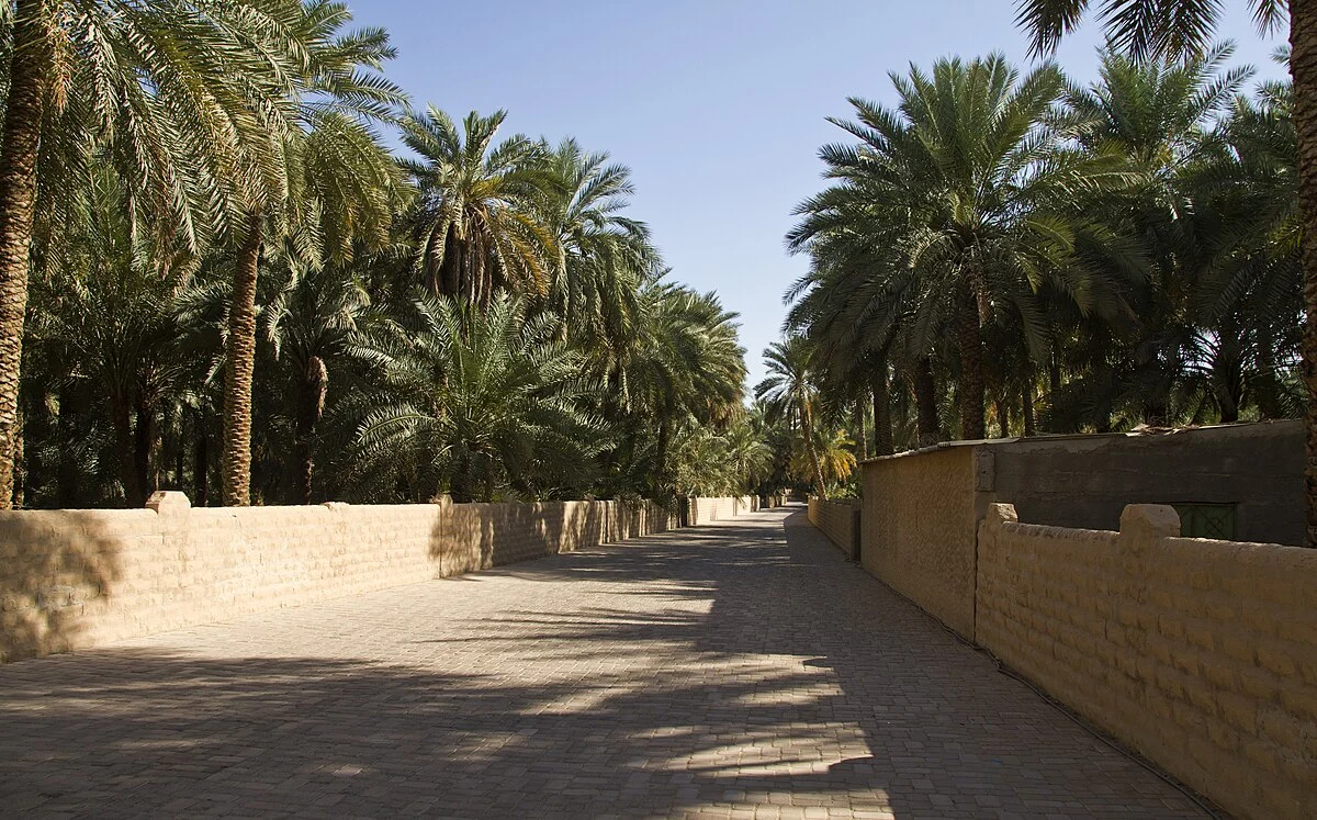 Die Oase von Al-Ain
