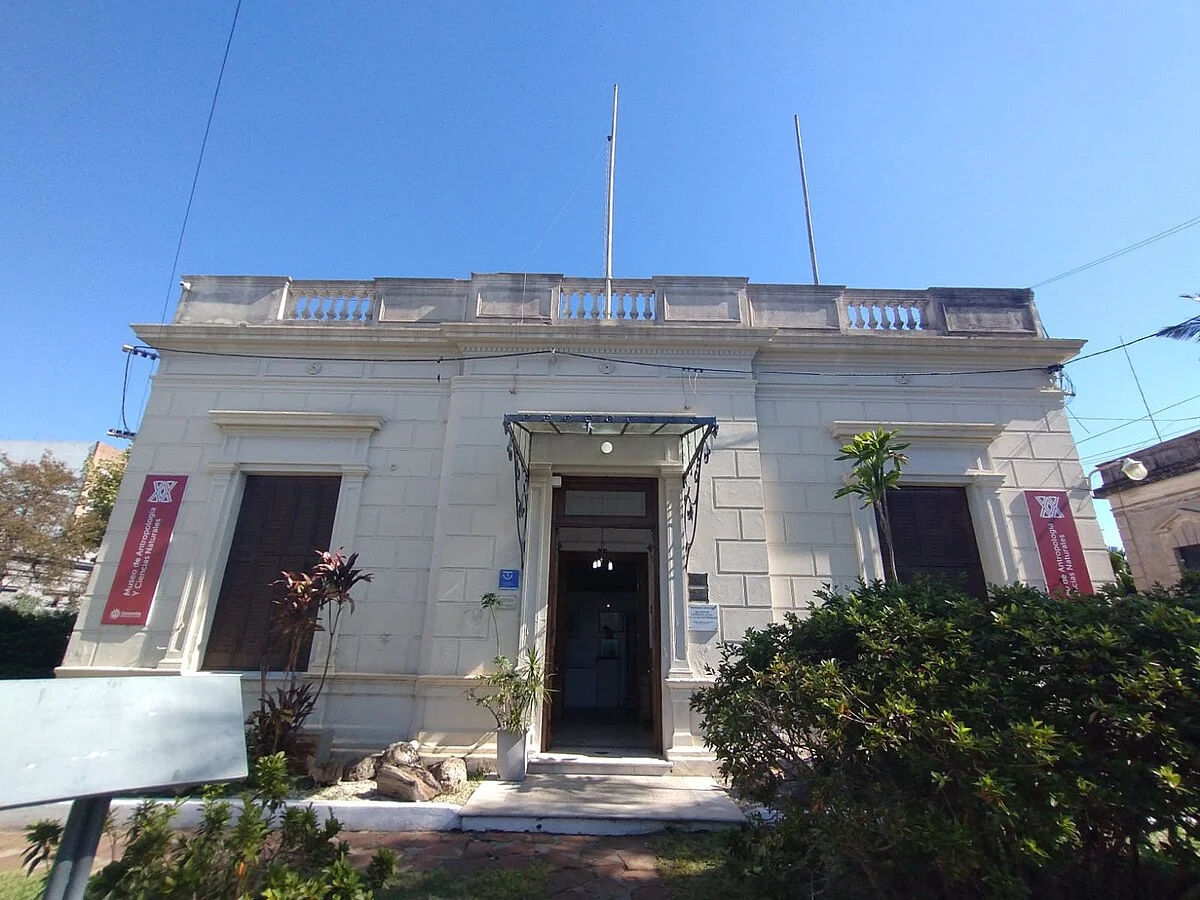 Das Museum für Anthropologie und Naturwissenschaften in Concordia
