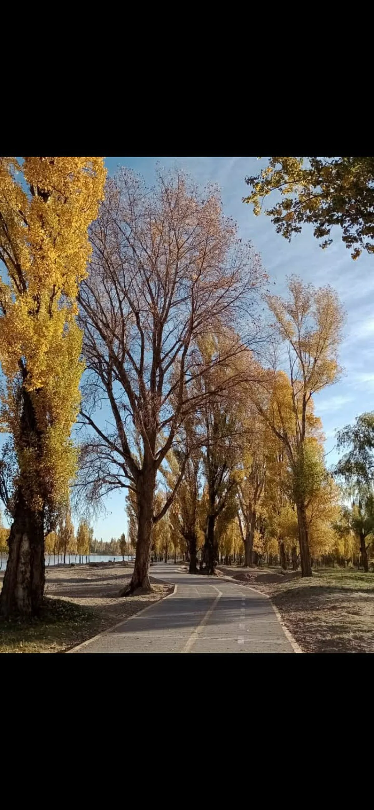 Herbstspaziergang am Flussufer
