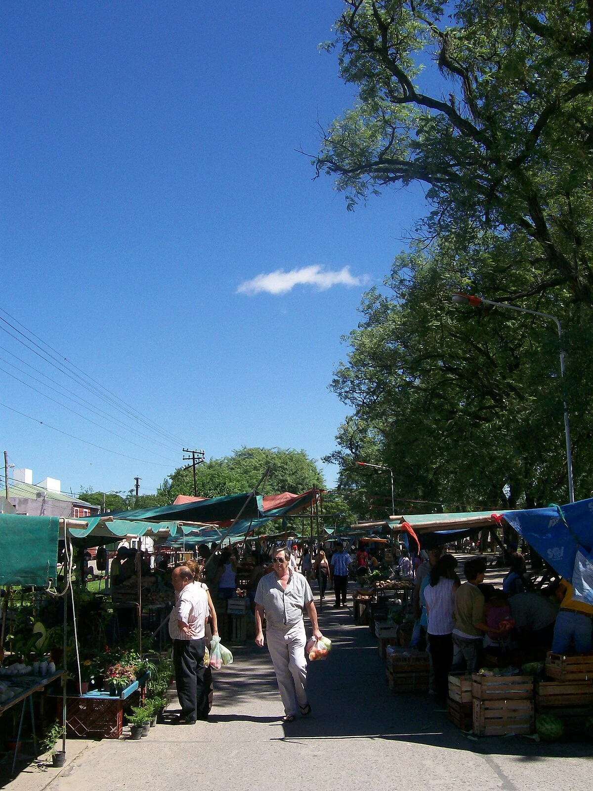 Obst- und Gemüsemarkt an der Avenida Moreno