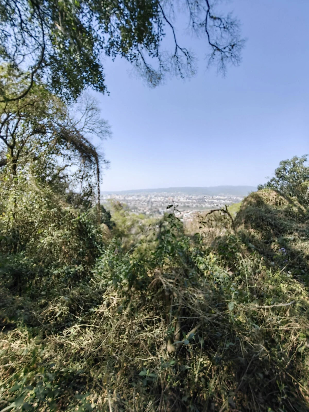 Der Botanische Park von San Salvador de Jujuy