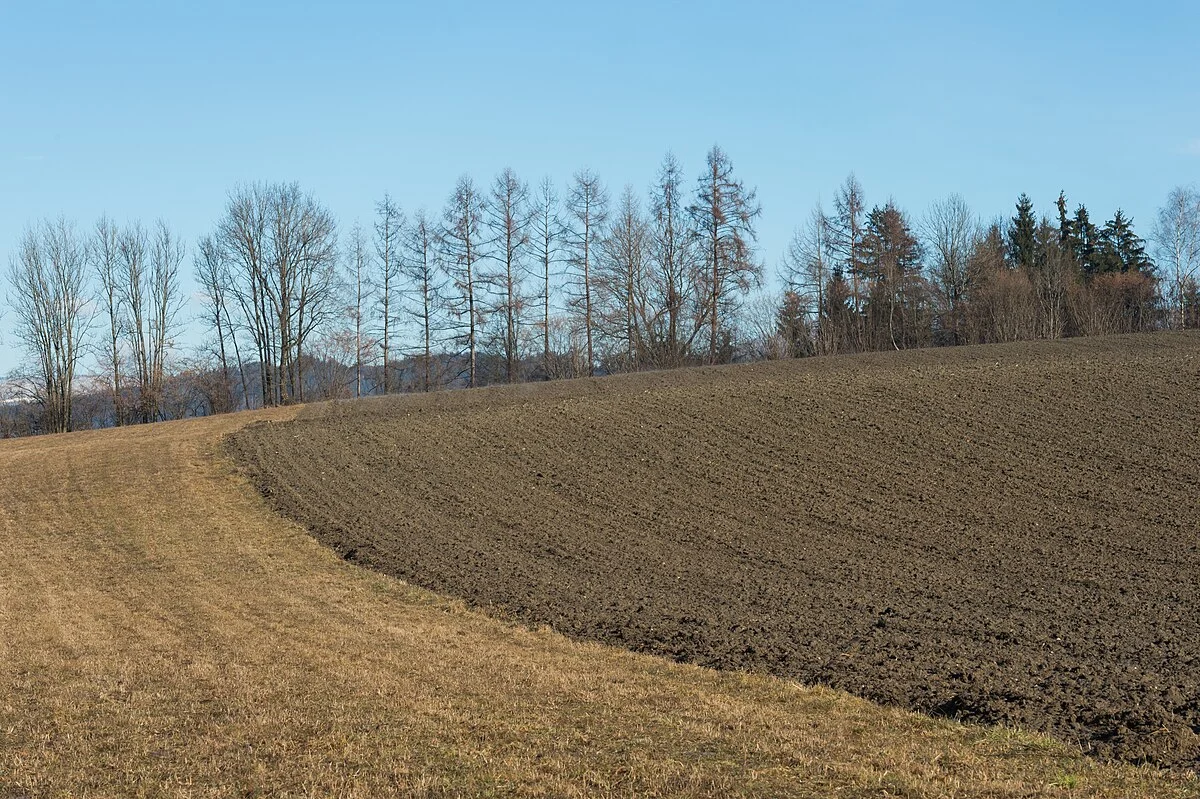 Flur an der Waltendorfer Straße, Waltendorf, 9.