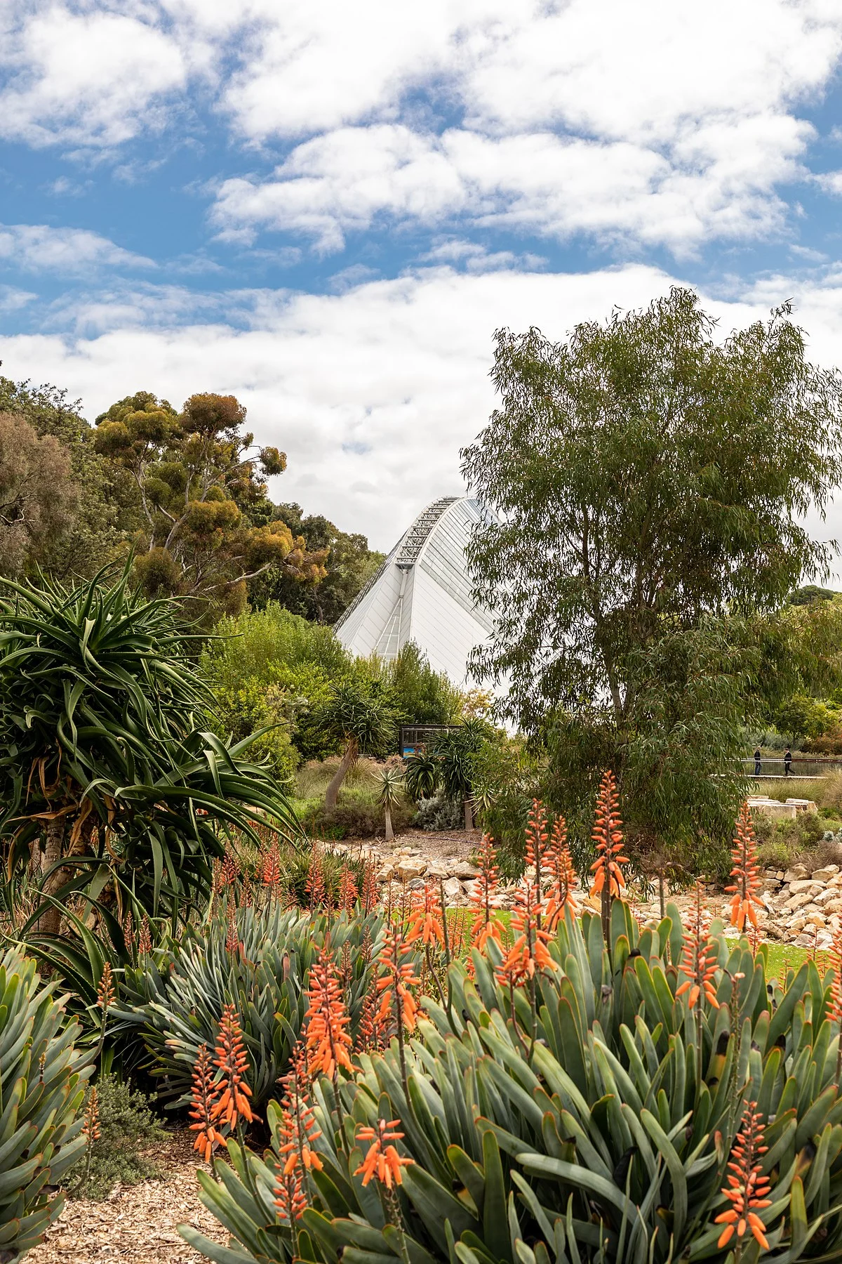 Botanischer Garten, Adelaide, South Australia, Australien