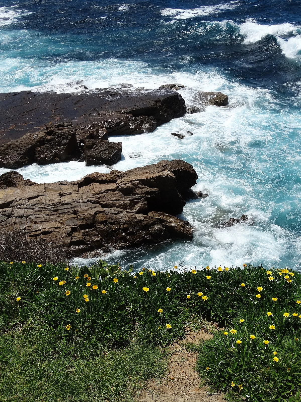 Die Uferpromenade von Wollongong