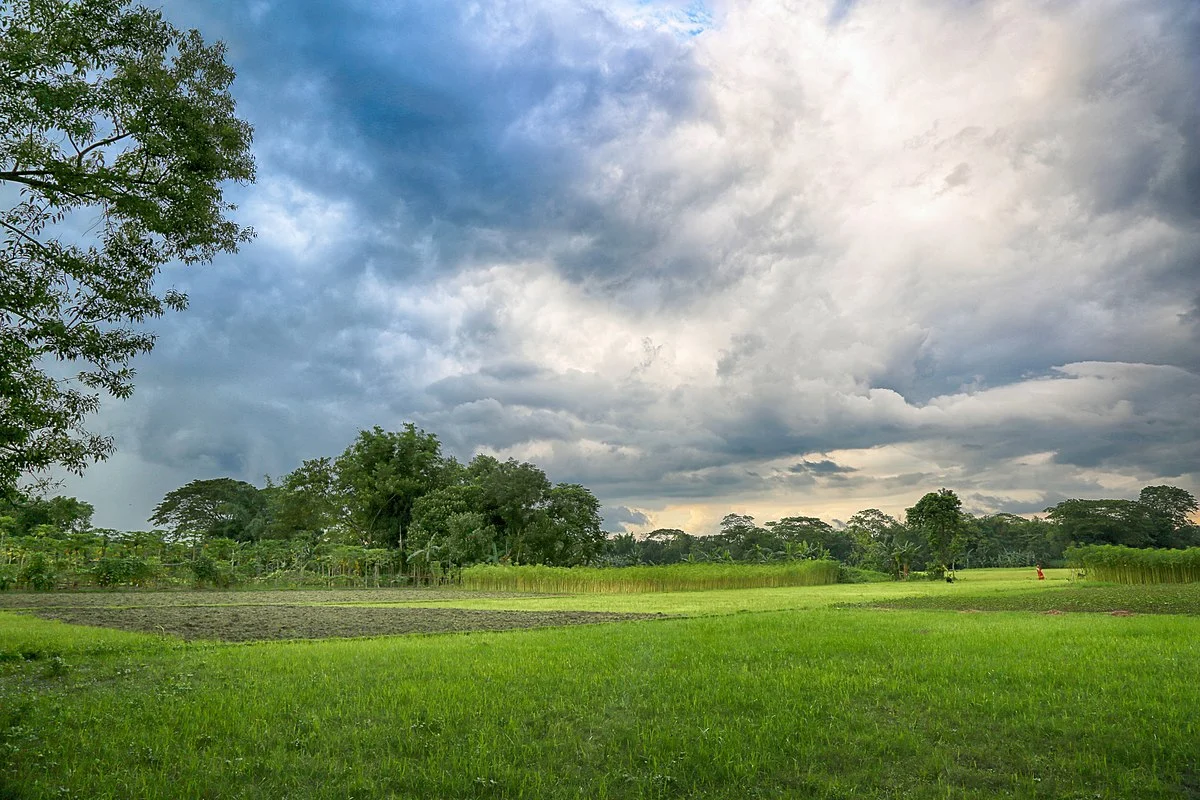 Dorflandschaft in Bangladesch