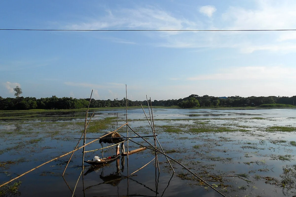 Landschaft im Distrikt Narsingdi