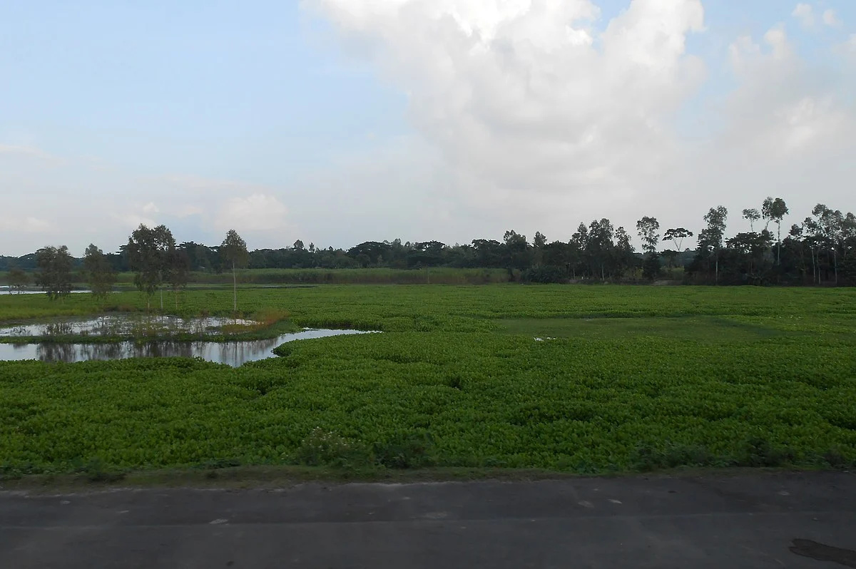 Landschaft im Distrikt Narsingdi