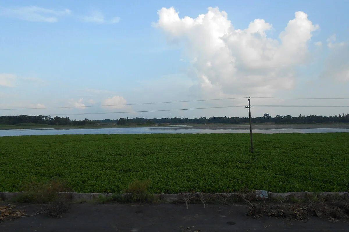 Landschaft im Distrikt Narsingdi