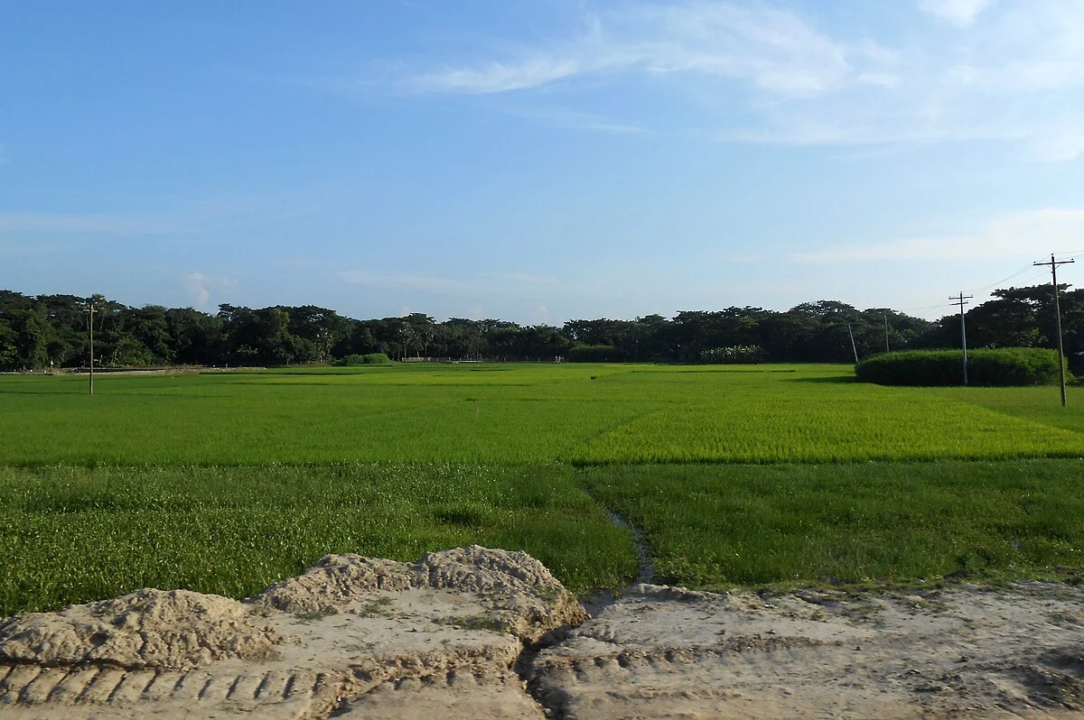 Landschaft im Distrikt Narsingdi