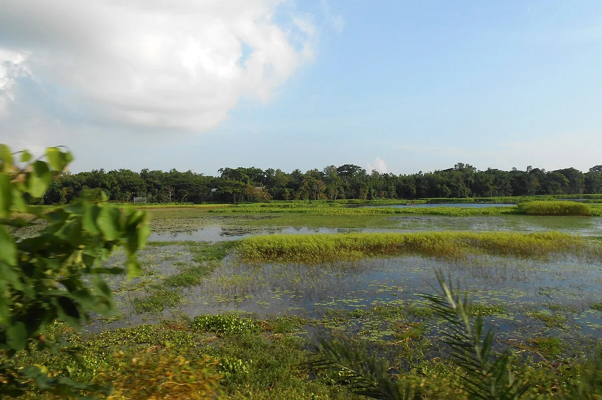 Landschaft im Distrikt Narsingdi