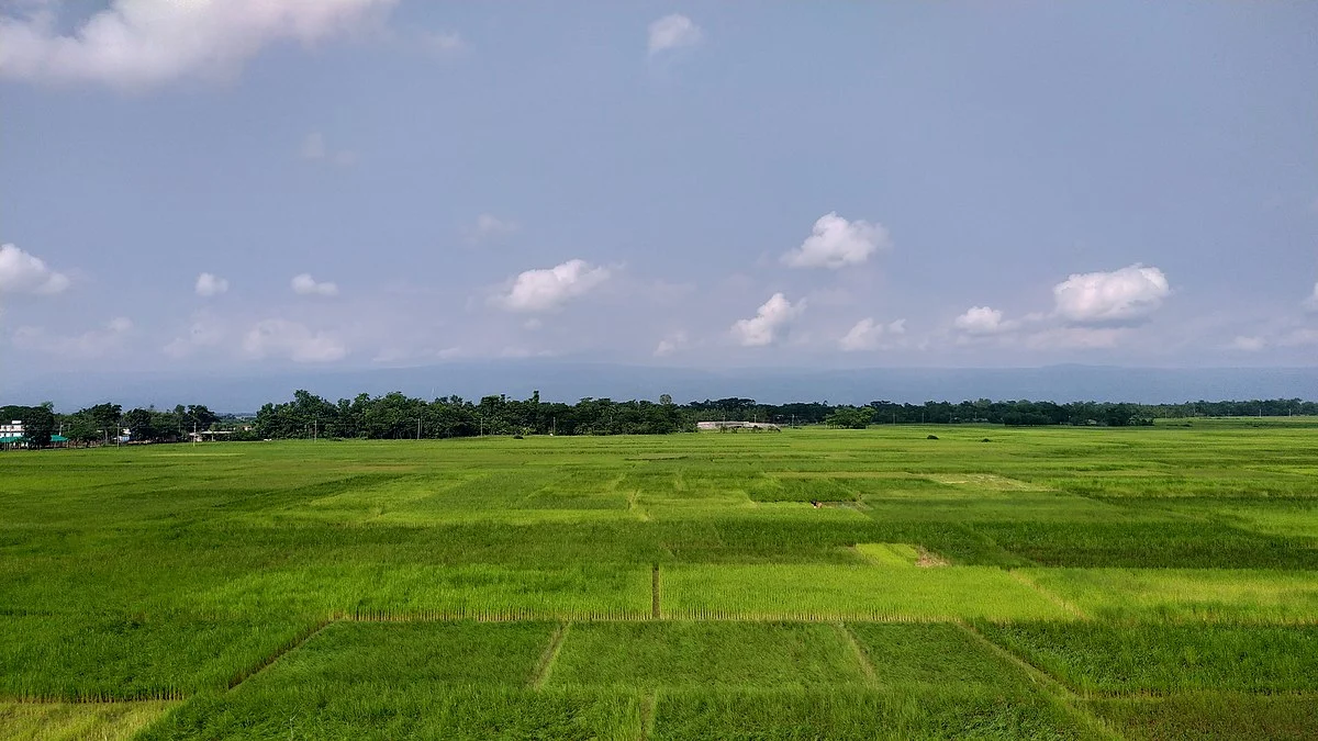 Naturlandschaft bei Gowainghat