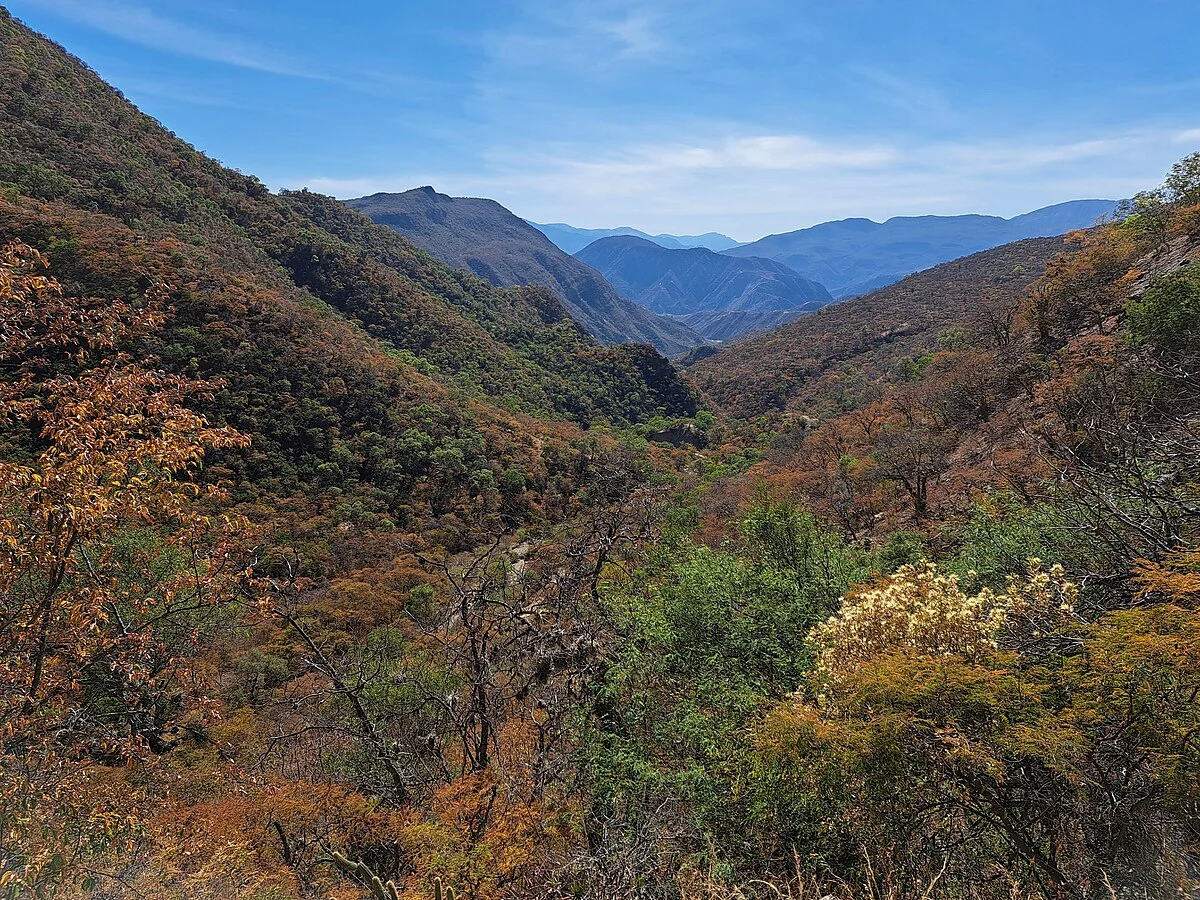 Trockenwald in der Umgebung von Sucre