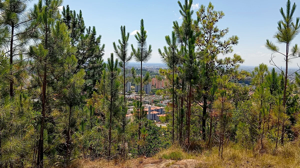 Der Osten von Porto Alegre, gesehen vom Morro Santana