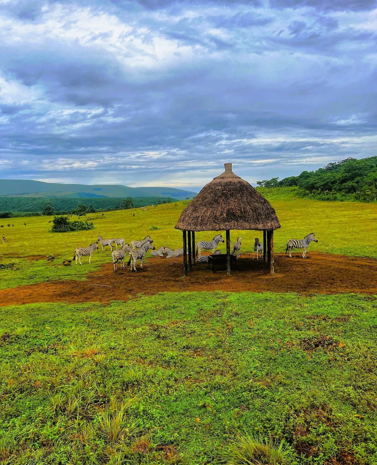Der Parc de la Vallée de la Nsele, größter Stadtpark von Kinshasa