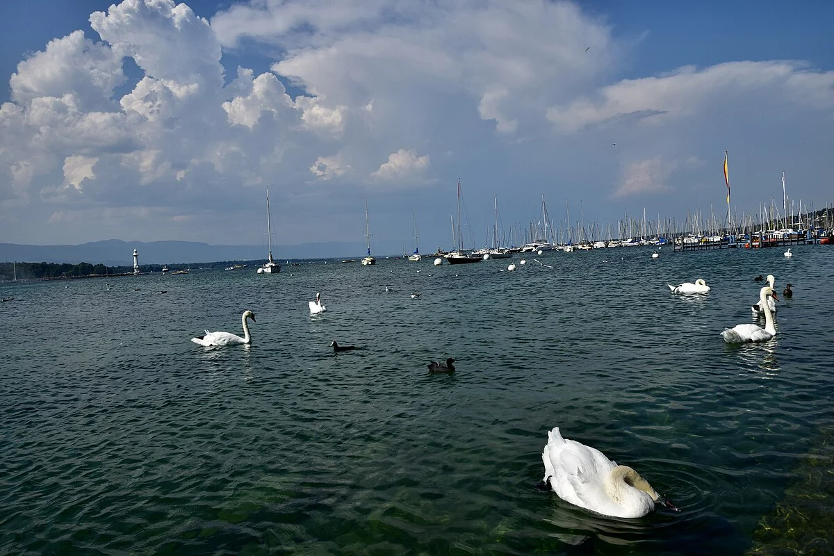 Der Genfersee