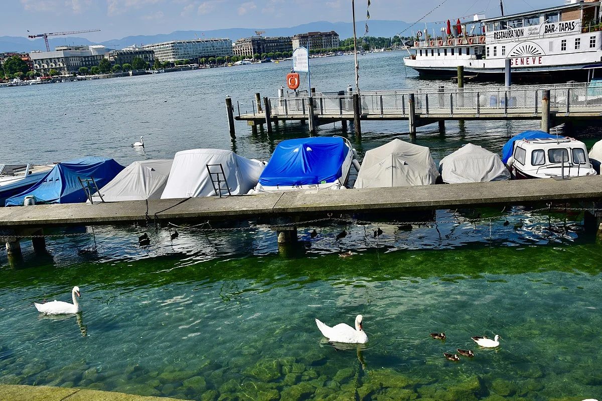 Der Genfersee
