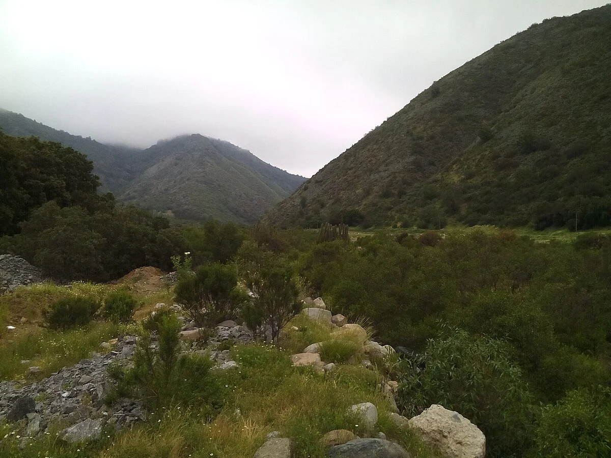 Landschaft bei Rangue in der Region Metropolitana