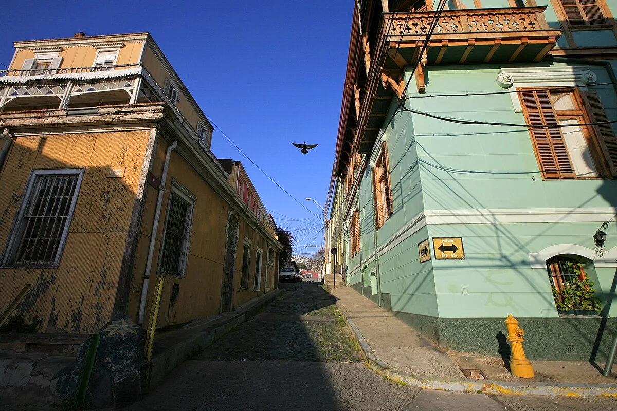 Vogel zwischen Häusern in Valparaíso