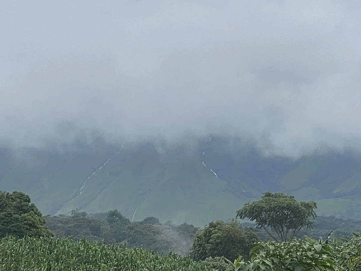 Der Mount-Cameroon-Nationalpark bei Buea