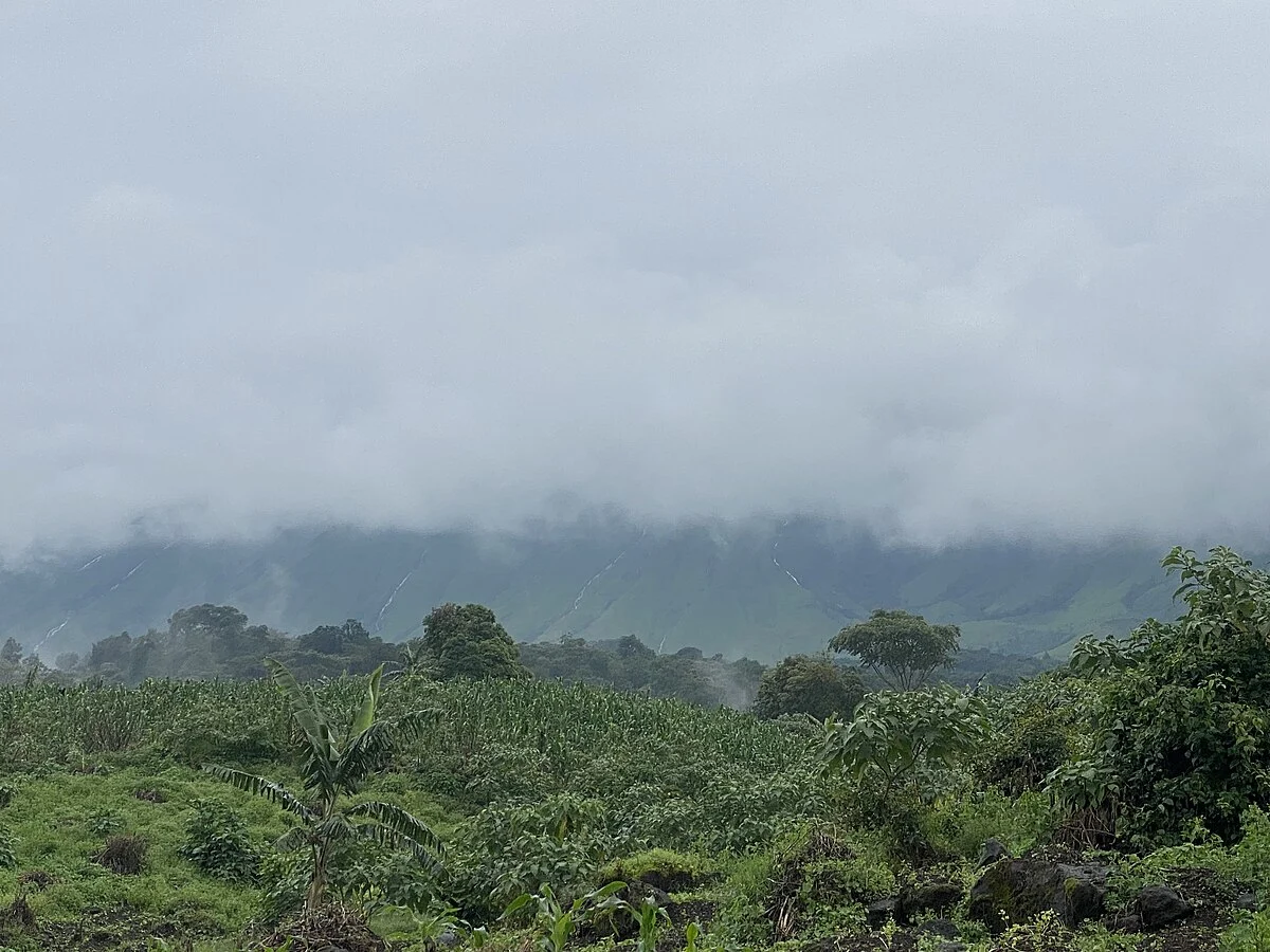 Der Mount-Cameroon-Nationalpark bei Buea