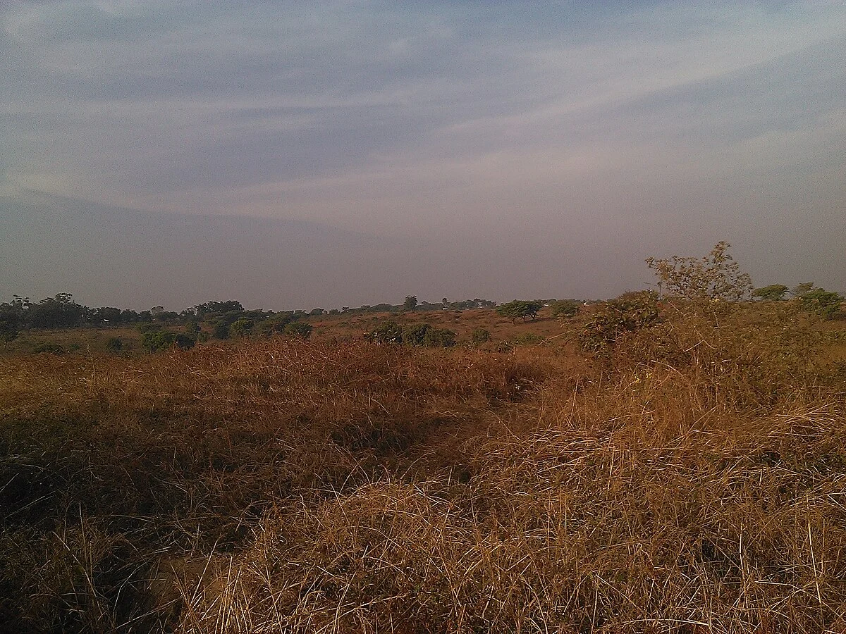 Landschaft um Ngaoundéré in der Trockenzeit