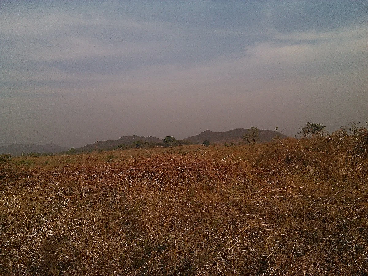Landschaft um Ngaoundéré in der Trockenzeit