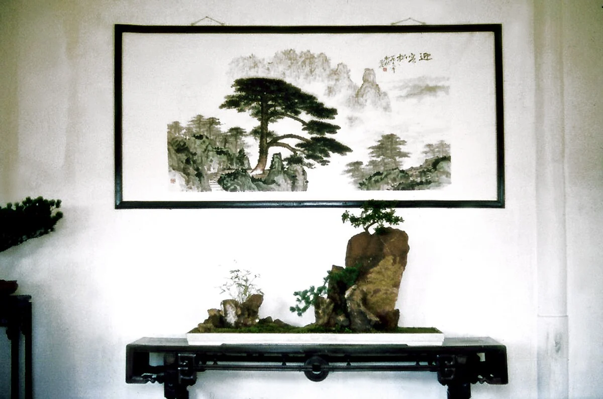 Miniaturlandschaft (Penjing) im Botanischen Garten von Hangzhou
