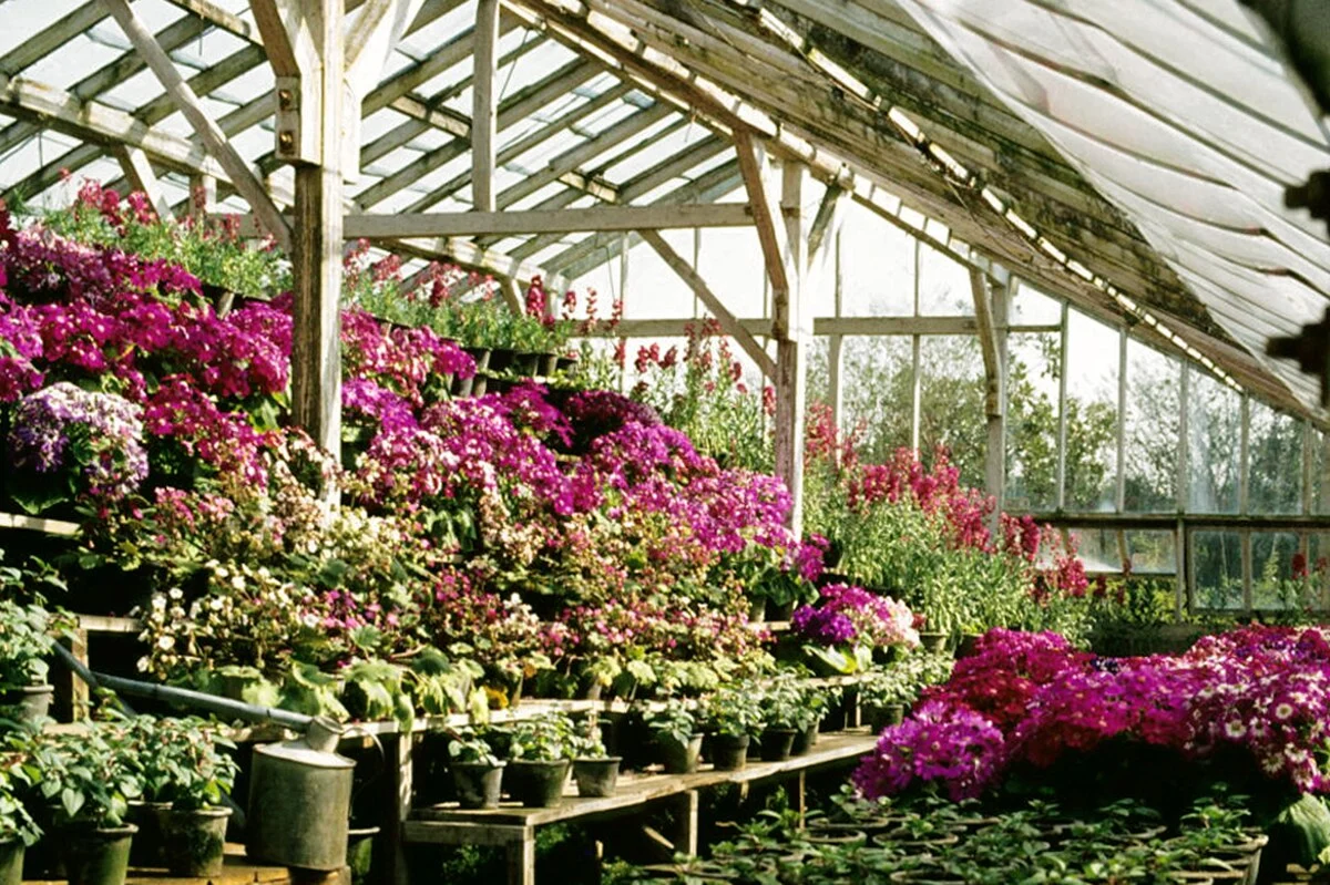 Gewächshaus im Botanischen Garten von Hangzhou
