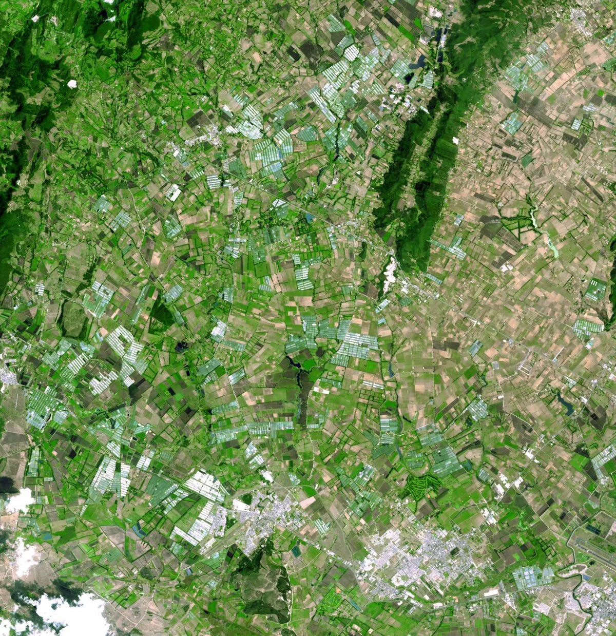 Blumenanbaugebiet bei Bogotá