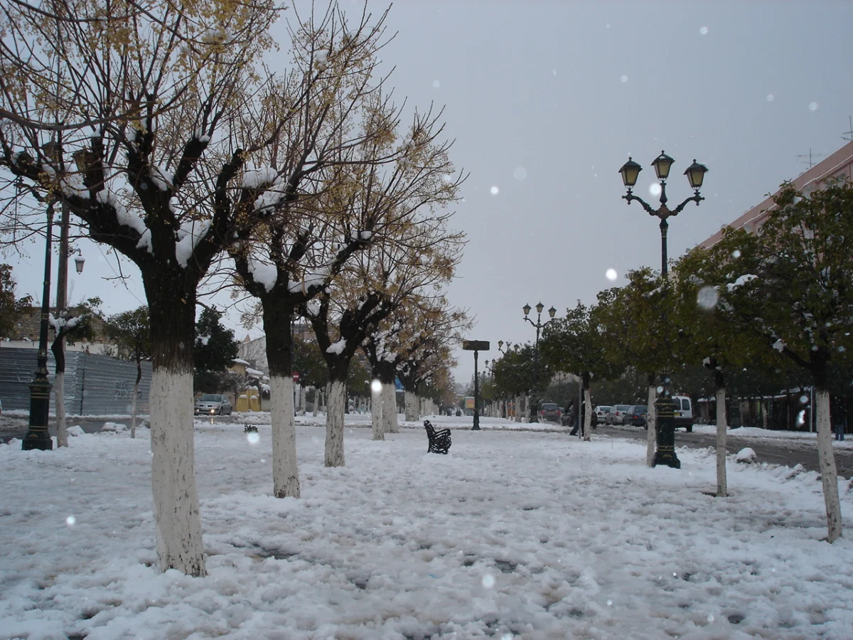 Bilder aus Batna (1)