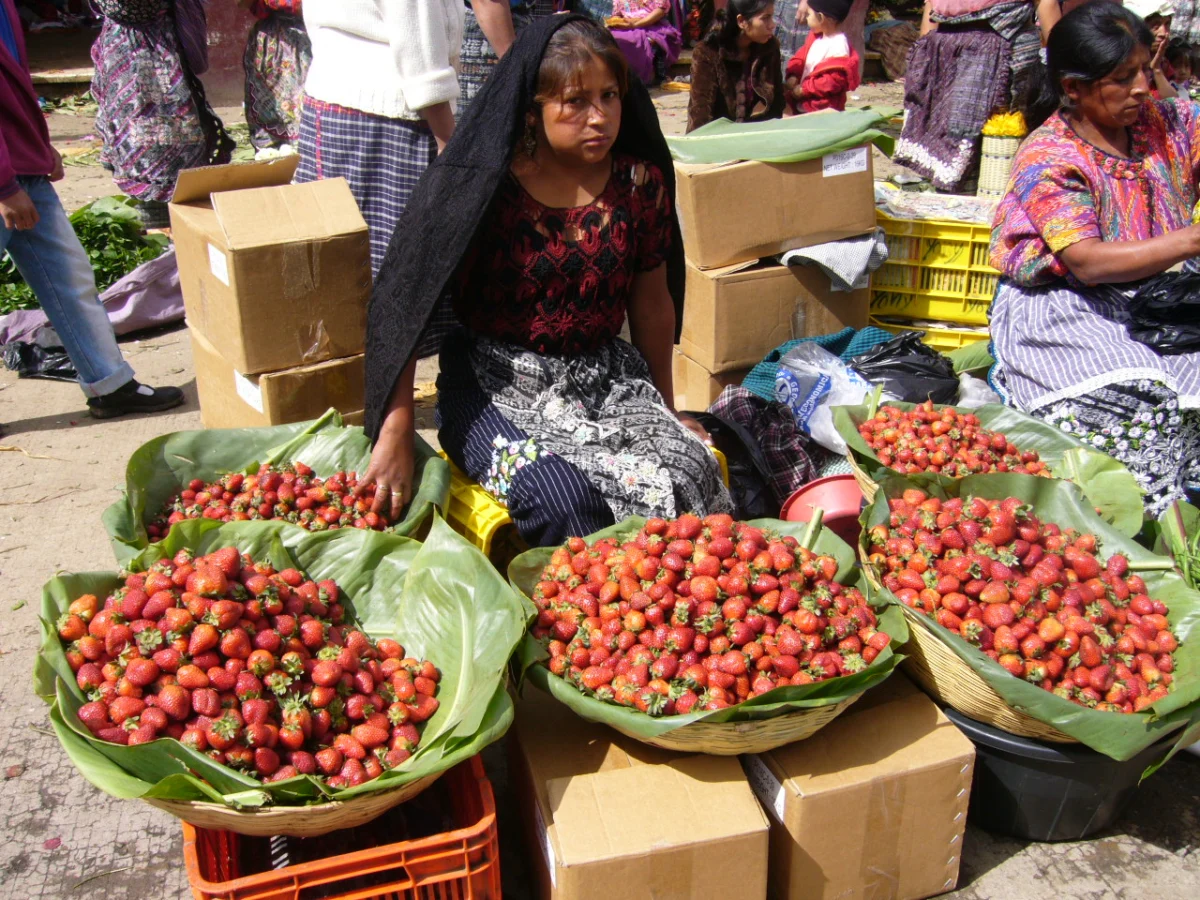 Erdbeerhändlerin auf dem Markt von San Juan Sacatepéquez