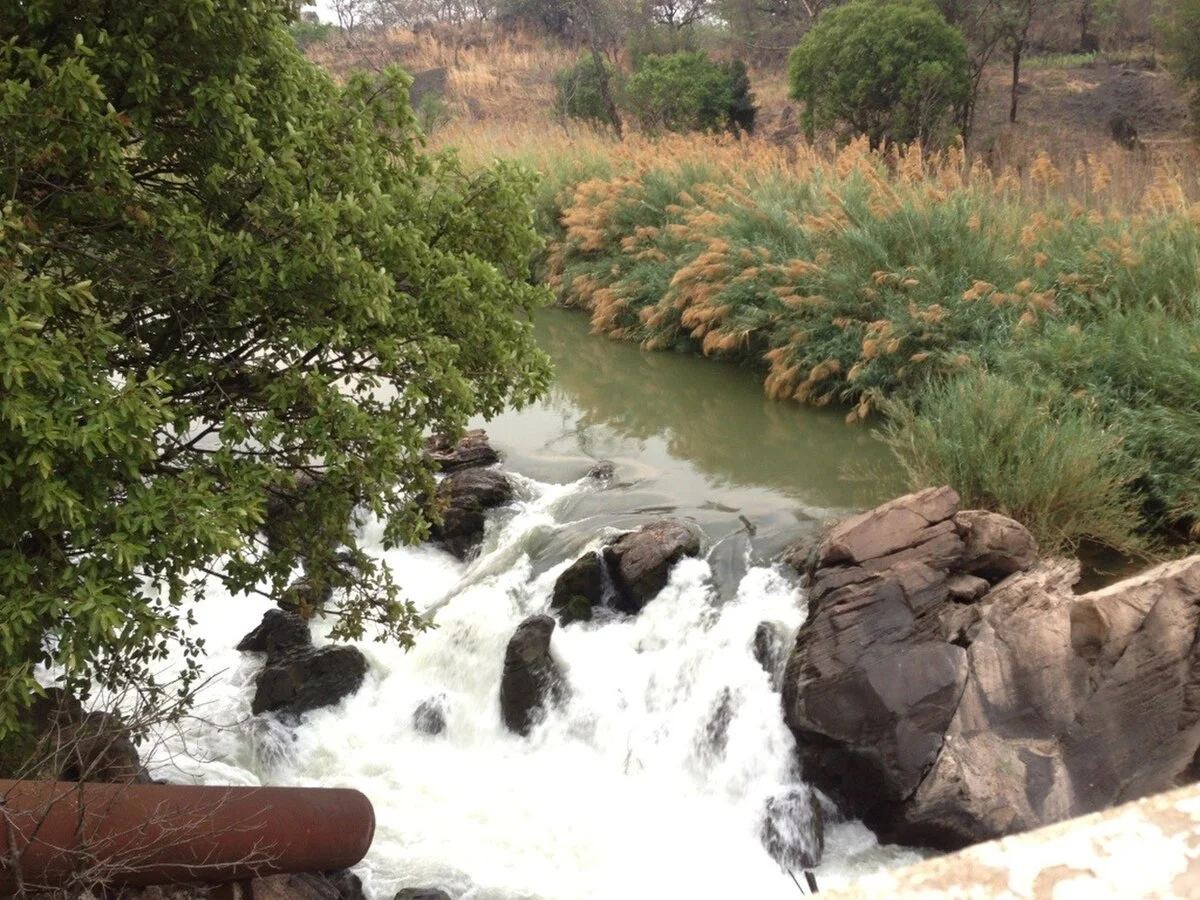 Der Hippo Pool in Chingola