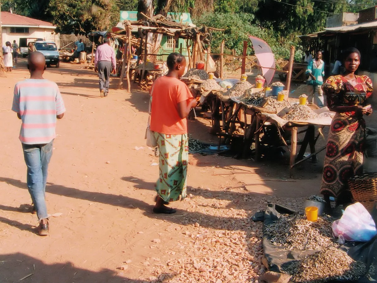 Marktstände mit Kapenta-Fisch in Chipata