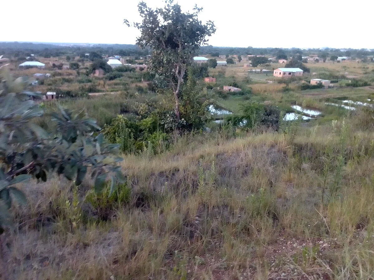Luanshya