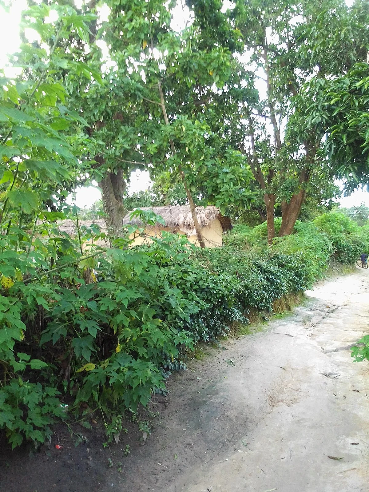 Bilder aus Mufulira (1)