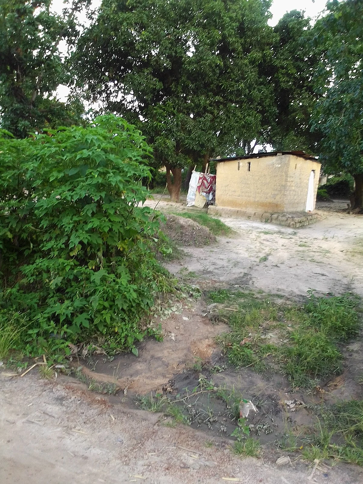 Bilder aus Mufulira (7)