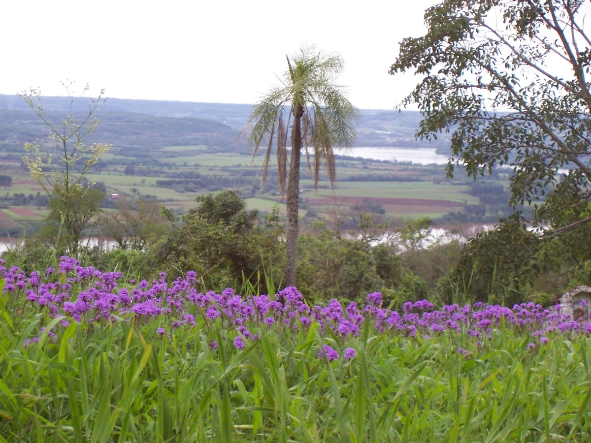 Der Uruguay-Fluss bei San Javier, Misiones