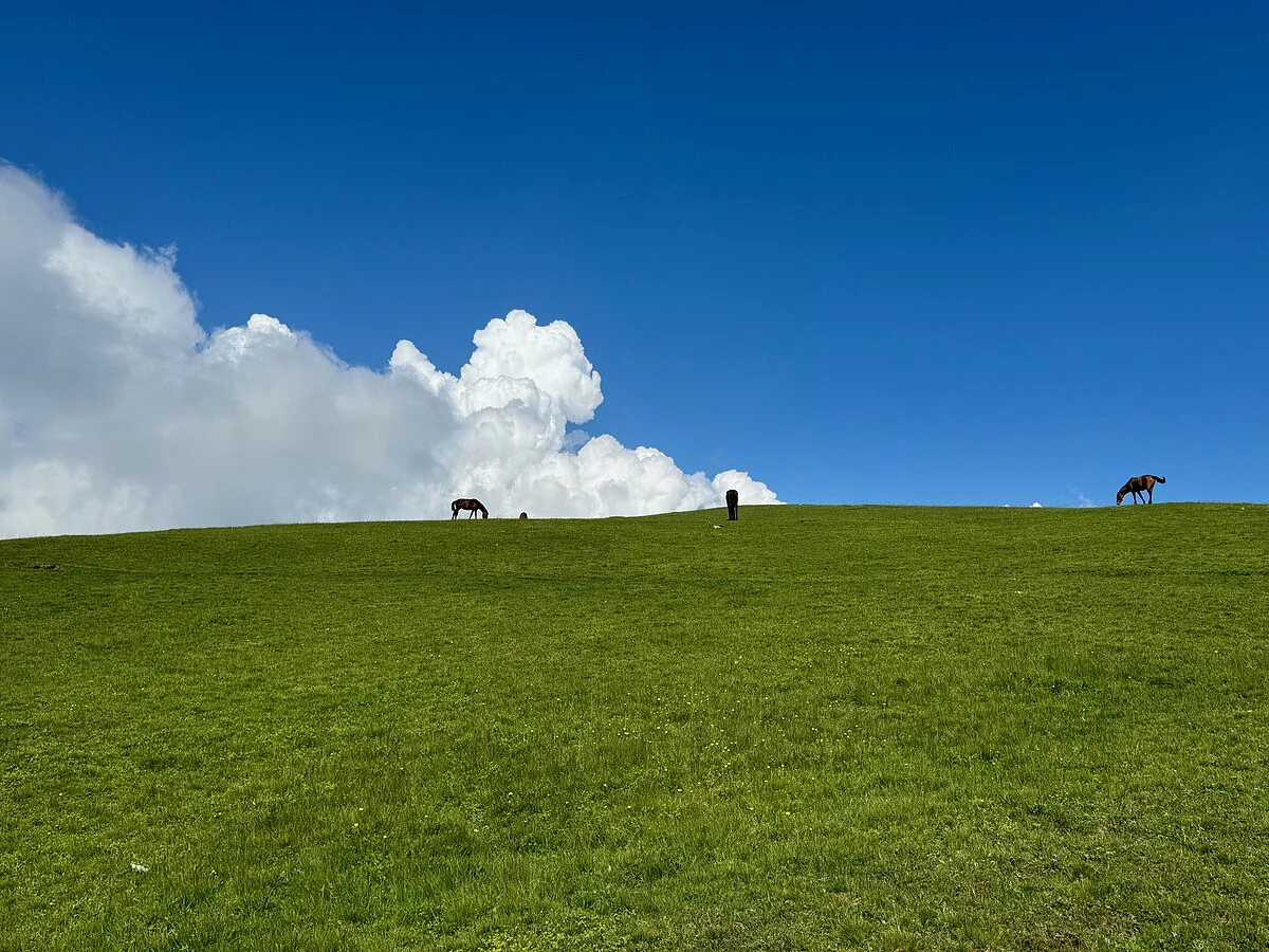 Landschaft im Bezirk Balakən