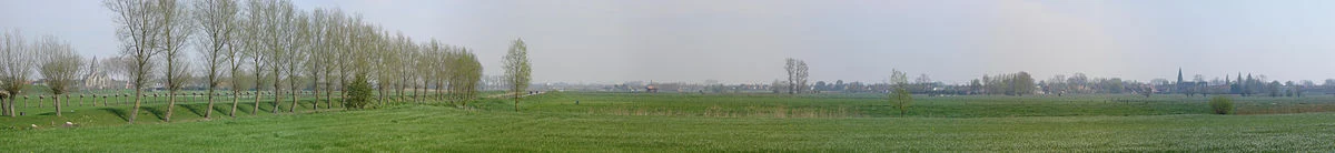 Felder bei Werken und Zarren
