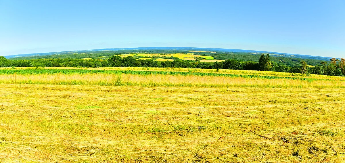 Panorama von Buissonville bei Rochefort