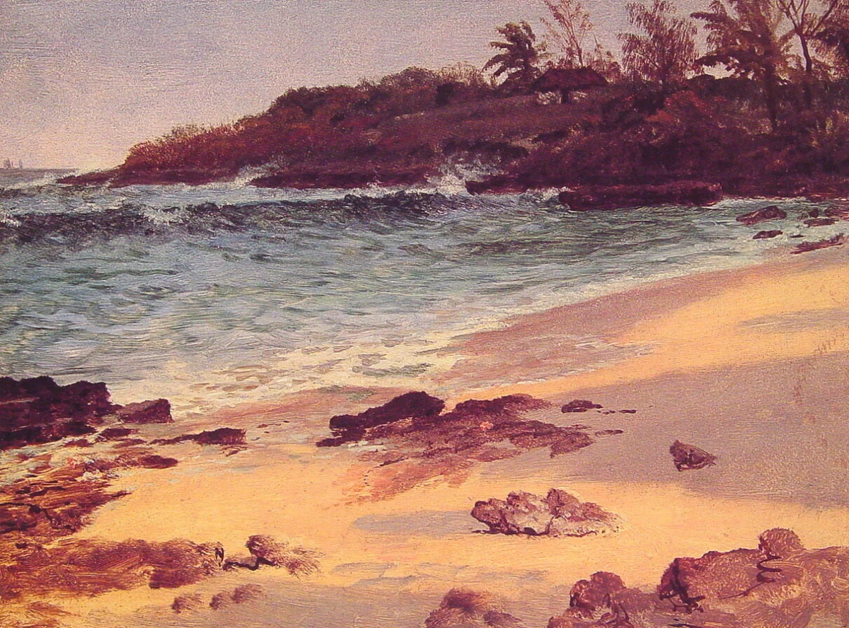 Bilder von den Bahamas (6)