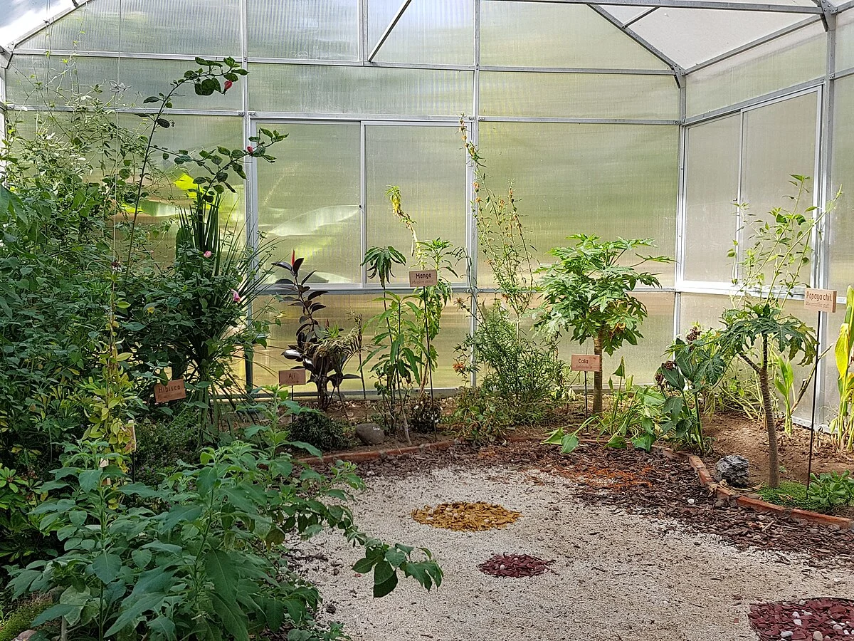 Im Tropenhaus des botanischen Garten
