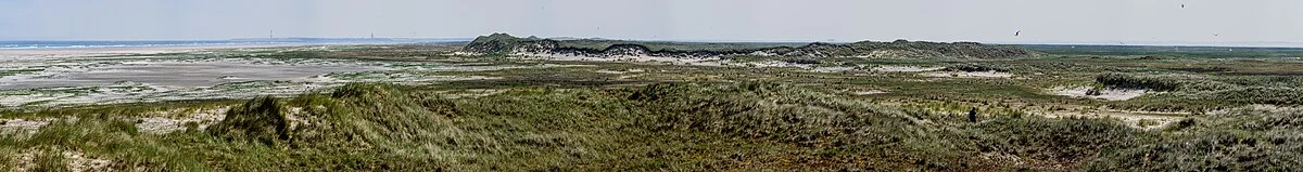 Blick über den Strand, die Vordünen, Weißdünen, Graudünen, obere Salzwiese und untere Salzwiese der Spiekerooger Ostplate.