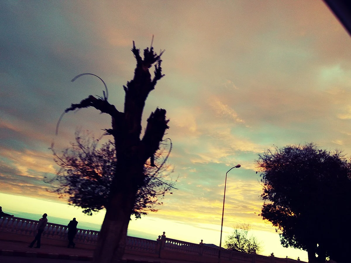 Bilder aus Algerien (3)