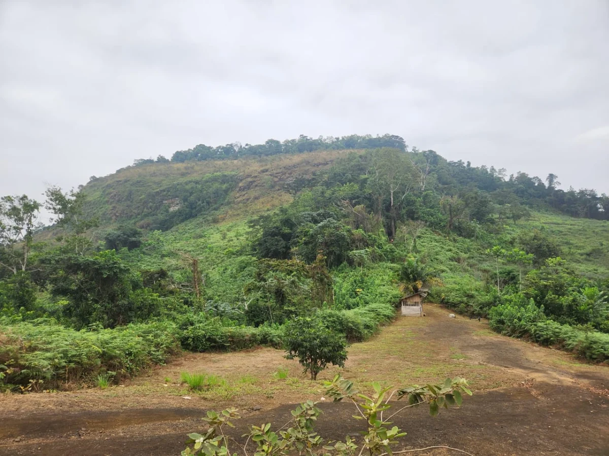 Der Mont Boudinga bei Moanda