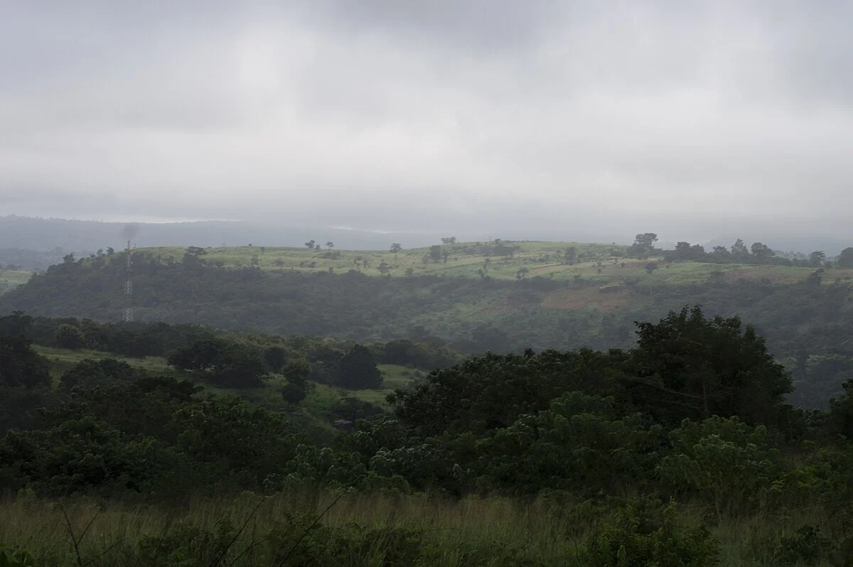 Wald in Ghana