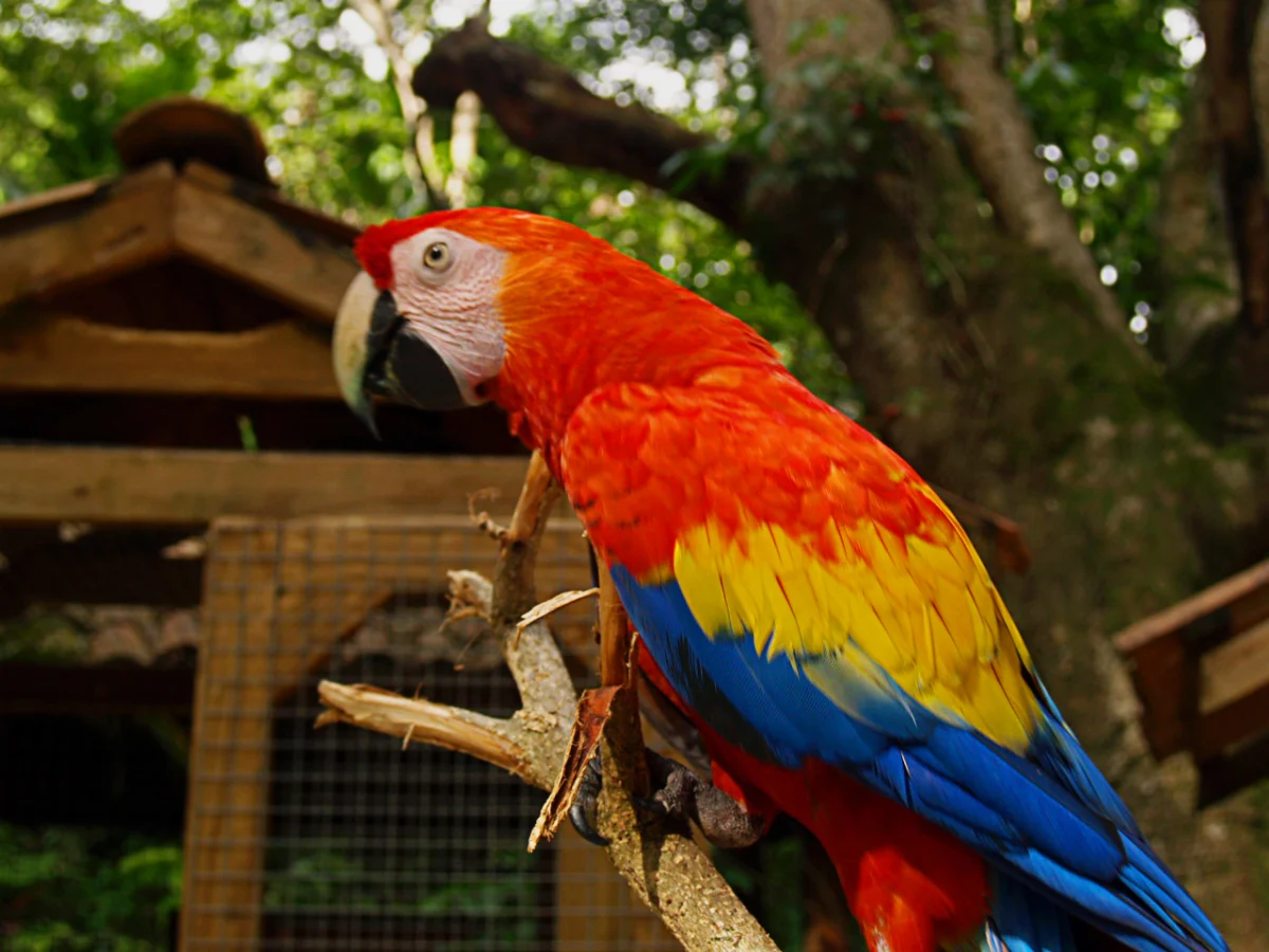 Bilder aus Honduras (3)