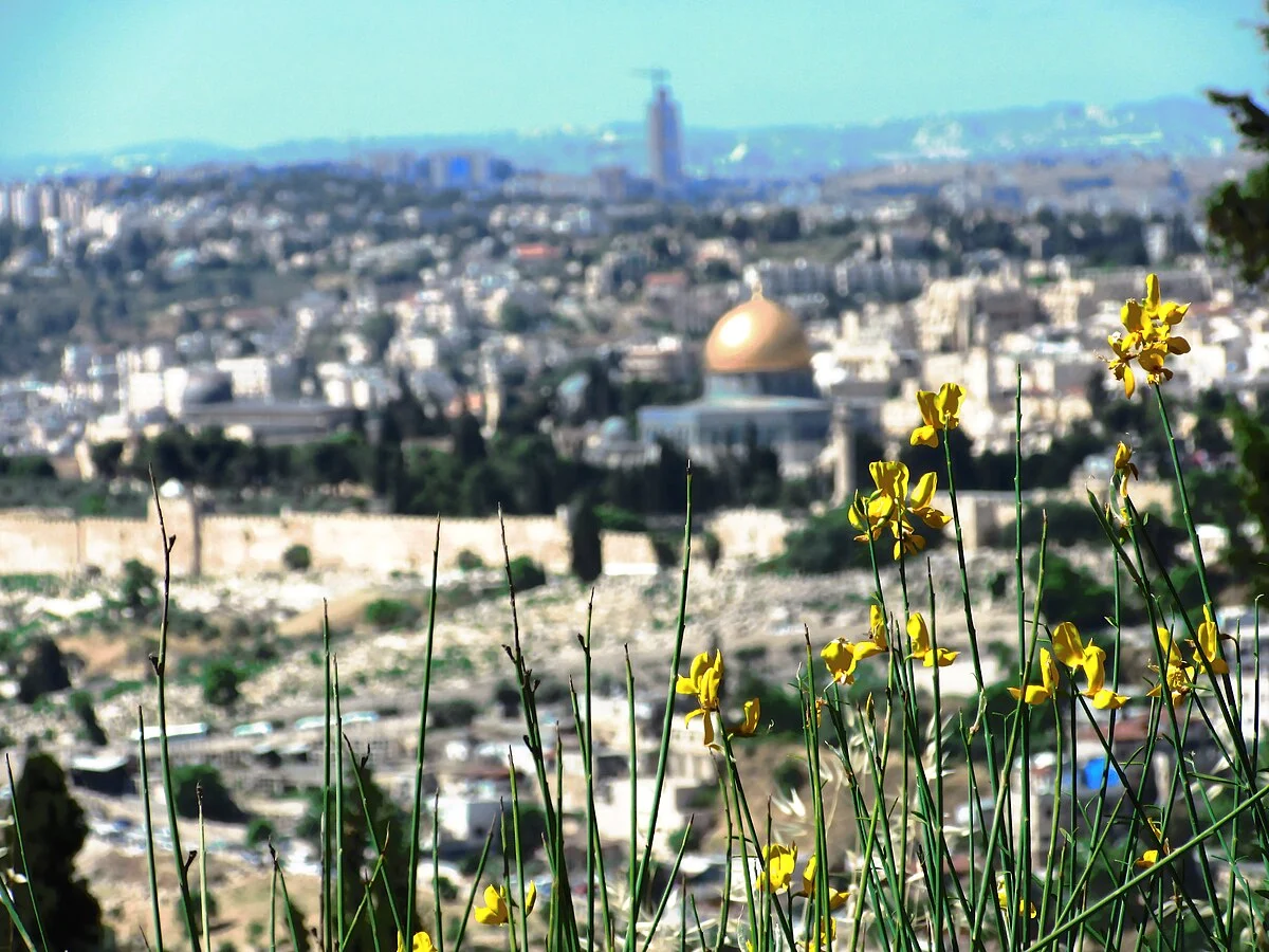 Blick vom Skopusberg auf die Altstadt von Jerusalem