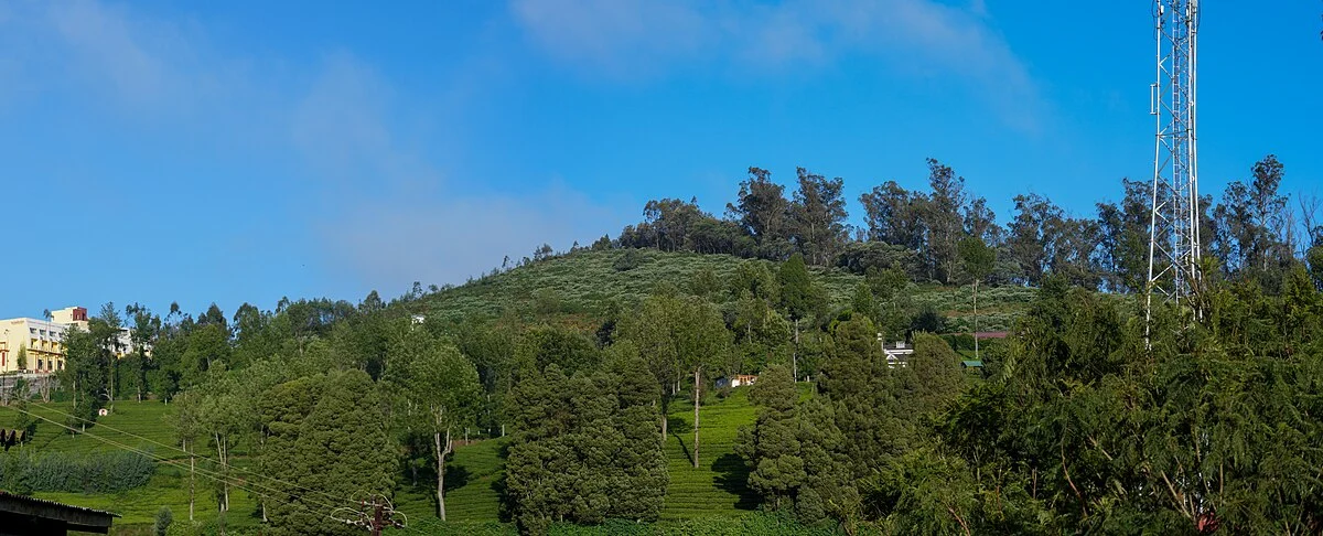 Club Hill in Ooty in den Nilgiri-Bergen