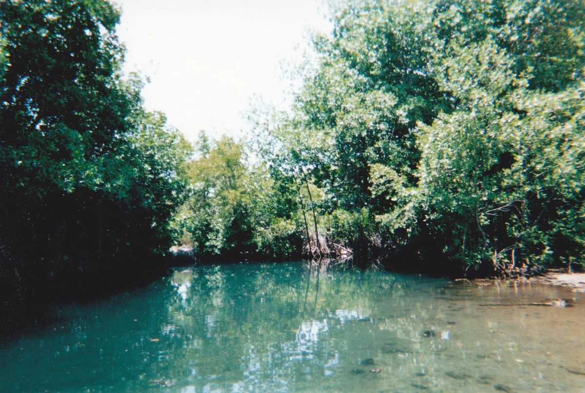 Quellbach